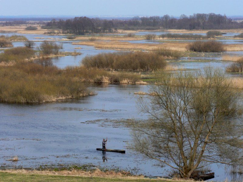 Biebrza river in Burzyn, Poland