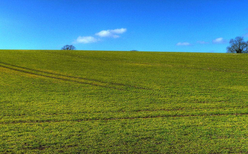 Arable field near Alresford, England. Photo CC BY 2.0: Mike Cattell