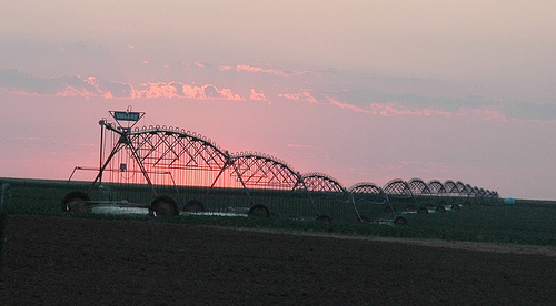 Irrigation of arable fields in Texas, USA. CC Photo: AgriLife Today.