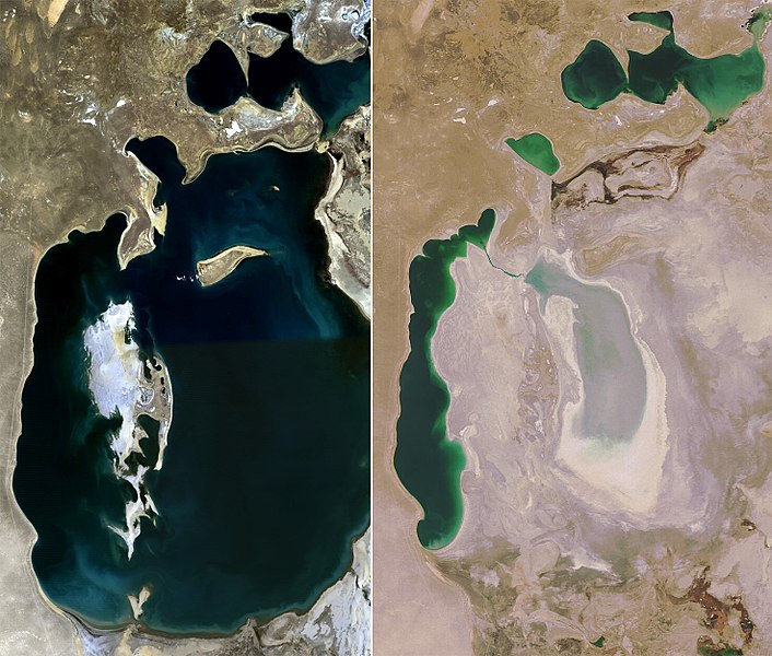 Aralsjön 1989 och 2008. Foto: NASA.